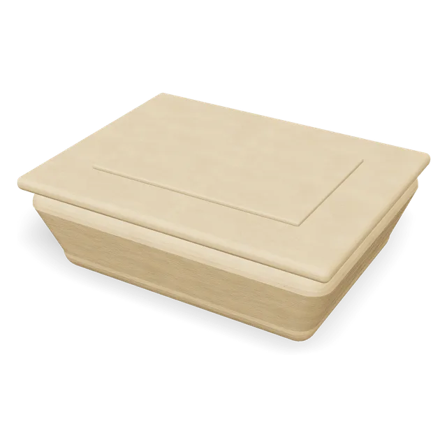 Anti-leak rectangular bagasse container