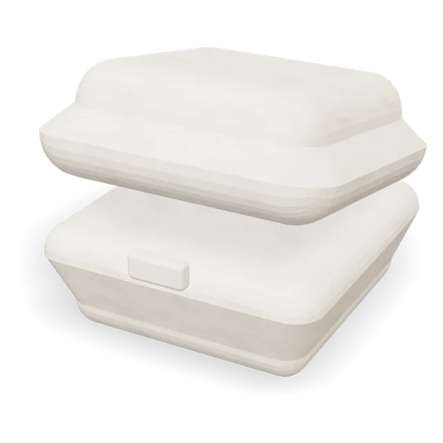 Bagasse, plain